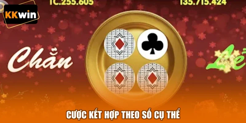 cuoc ket hop theo so cu the Cược kết hợp theo số cụ thể